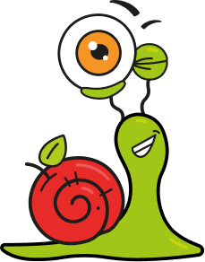 fruits