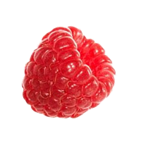 fruits