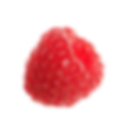 fruits